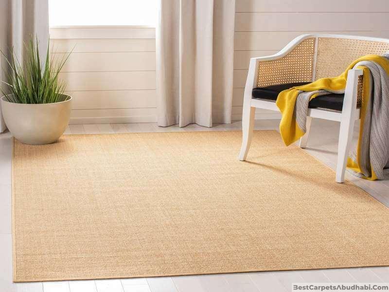 Sisal Rugs 1