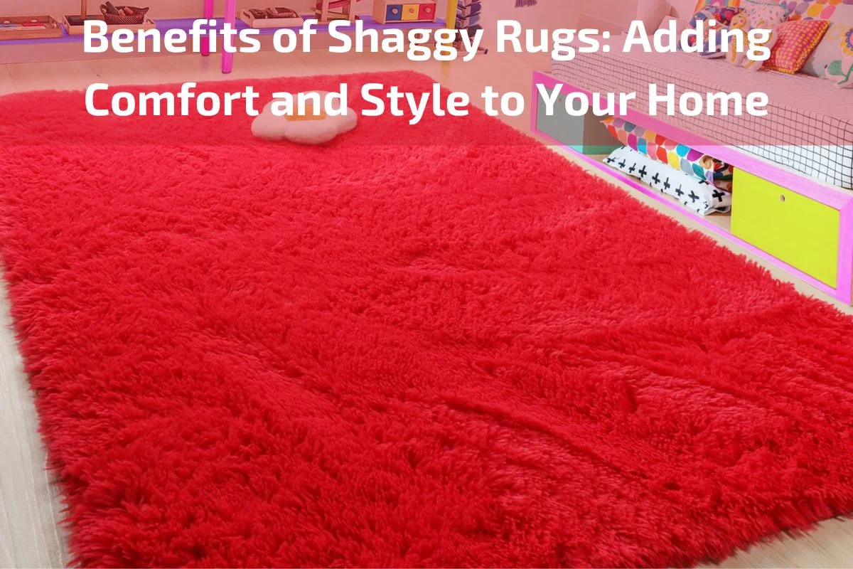 Shaggy Rugs